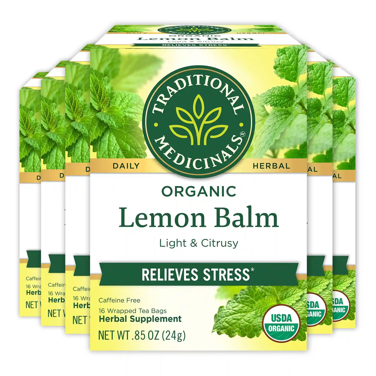Lemon Balm Tea (Wholesale)